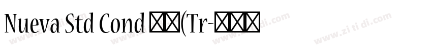 Nueva Std Cond 粗体(Tr字体转换